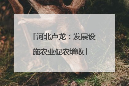 河北卢龙：发展设施农业促农增收