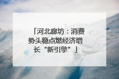 河北廊坊：消费势头稳点燃经济增长“新引擎”
