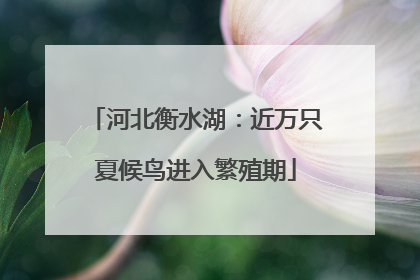 河北衡水湖：近万只夏候鸟进入繁殖期