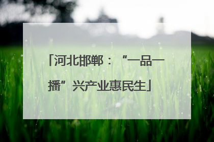 河北邯郸：“一品一播”兴产业惠民生