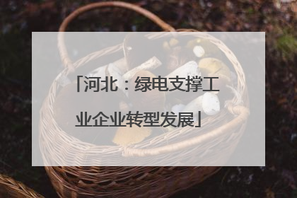 河北：绿电支撑工业企业转型发展