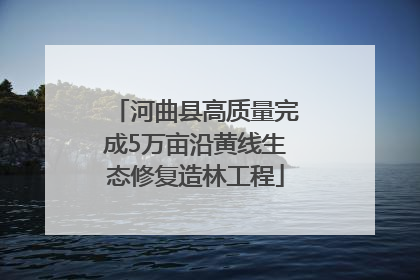 河曲县高质量完成5万亩沿黄线生态修复造林工程