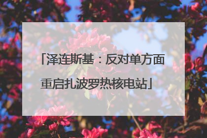 泽连斯基：反对单方面重启扎波罗热核电站