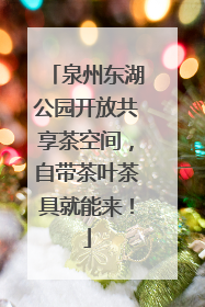 泉州东湖公园开放共享茶空间，自带茶叶茶具就能来！