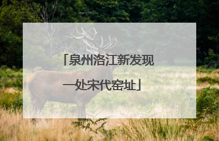 泉州洛江新发现一处宋代窑址