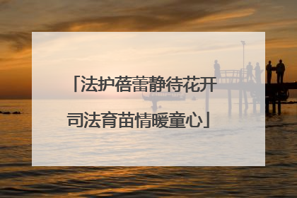 法护蓓蕾静待花开 司法育苗情暖童心