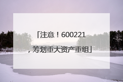 注意！600221，筹划重大资产重组