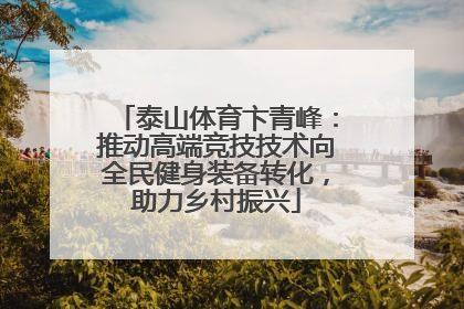 泰山体育卞青峰：推动高端竞技技术向全民健身装备转化，助力乡村振兴