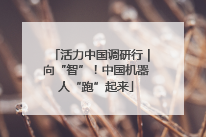 活力中国调研行｜向“智”！中国机器人“跑”起来