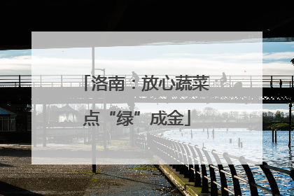 洛南：放心蔬菜点“绿”成金