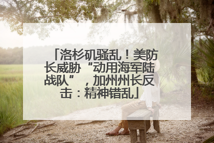 洛杉矶骚乱！美防长威胁“动用海军陆战队”，加州州长反击：精神错乱