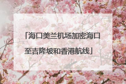 海口美兰机场加密海口至吉隆坡和香港航线