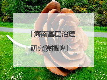 海南基层治理研究院揭牌