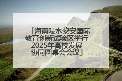 海南陵水黎安国际教育创新试验区举行2025年高校发展协同圆桌会会议