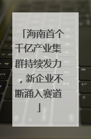 海南首个千亿产业集群持续发力，新企业不断涌入赛道
