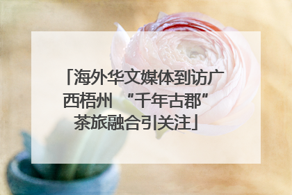 海外华文媒体到访广西梧州 “千年古郡”茶旅融合引关注