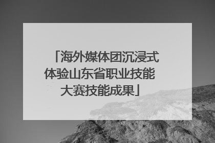 海外媒体团沉浸式体验山东省职业技能大赛技能成果