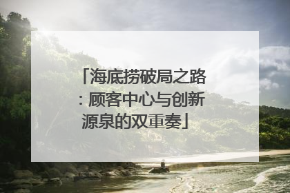 海底捞破局之路：顾客中心与创新源泉的双重奏