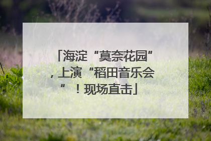 海淀“莫奈花园”，上演“稻田音乐会”！现场直击