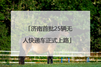 济南首批25辆无人快递车正式上路