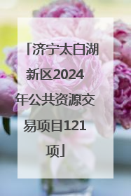 济宁太白湖新区2024年公共资源交易项目121项