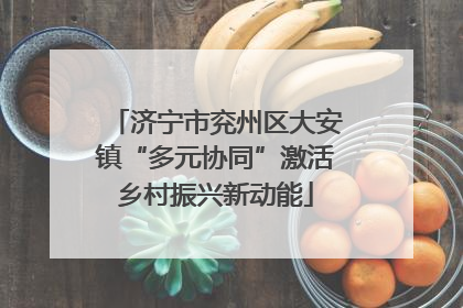 济宁市兖州区大安镇“多元协同”激活乡村振兴新动能