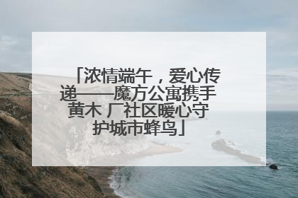 浓情端午，爱心传递——魔方公寓携手黄木 厂社区暖心守护城市蜂鸟