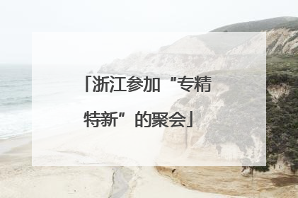 浙江参加“专精特新”的聚会