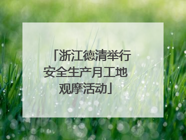 浙江德清举行安全生产月工地观摩活动