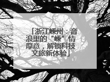 浙江嵊州：音浪里的“嵊”情厚意，解锁科技文旅新体验