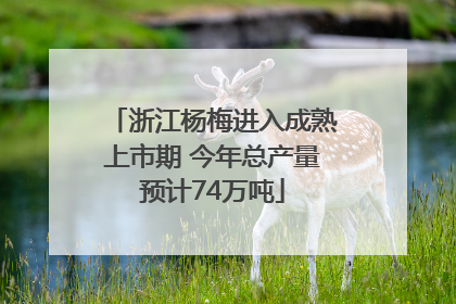 浙江杨梅进入成熟上市期 今年总产量预计74万吨