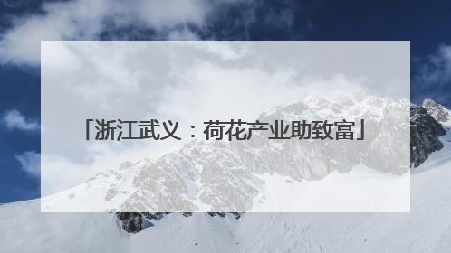 浙江武义：荷花产业助致富