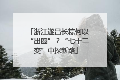 浙江遂昌长粽何以“出圈”？“七十二变”中探新路