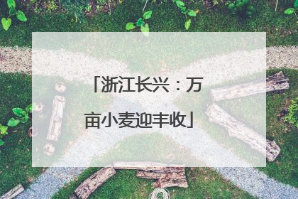 浙江长兴：万亩小麦迎丰收