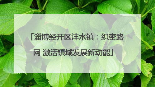 淄博经开区沣水镇：织密路网 激活镇域发展新动能