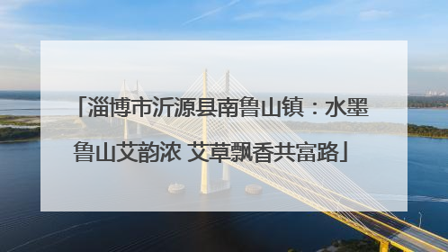 淄博市沂源县南鲁山镇：水墨鲁山艾韵浓 艾草飘香共富路