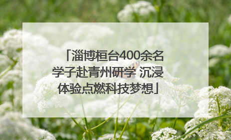 淄博桓台400余名学子赴青州研学 沉浸体验点燃科技梦想