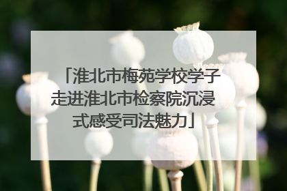 淮北市梅苑学校学子走进淮北市检察院沉浸式感受司法魅力