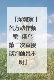 深观察丨各方动作频繁  俄乌第二次直接谈判前景不明