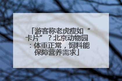 游客称老虎瘦如“卡片”？北京动物园：体重正常，饲料能保障营养需求
