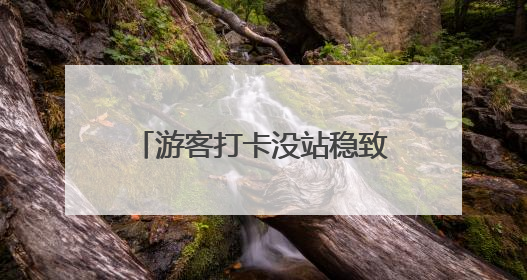 游客打卡没站稳致名画受损，乌菲齐美术馆：将限制自拍