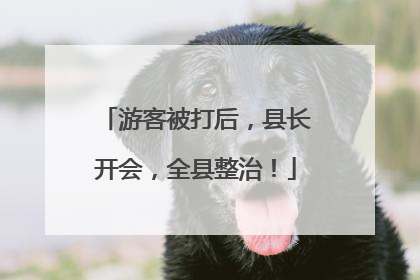 游客被打后，县长开会，全县整治！