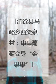 清徐县马峪乡西梁泉村：串串葡萄变身“金果果”