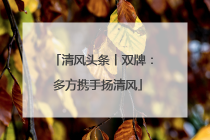 清风头条丨双牌：多方携手扬清风