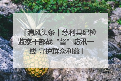清风头条｜慈利县纪检监察干部战“督”防汛一线 守护群众利益