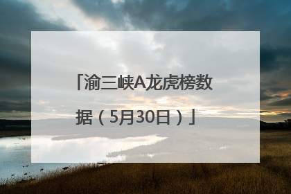 渝三峡A龙虎榜数据（5月30日）