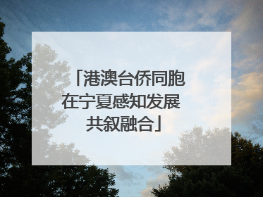 港澳台侨同胞在宁夏感知发展 共叙融合