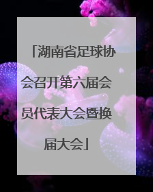 湖南省足球协会召开第六届会员代表大会暨换届大会