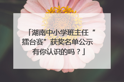 湖南中小学班主任“擂台赛”获奖名单公示 有你认识的吗？
