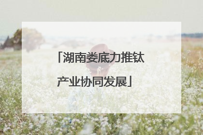 湖南娄底力推钛产业协同发展